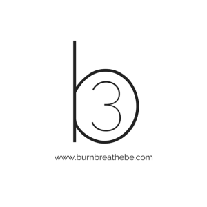 b3logo